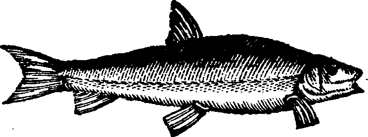 021/021910070301760_0.png