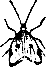 021/021910070301790_0.png