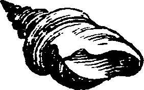 021/021910070301830_0.png