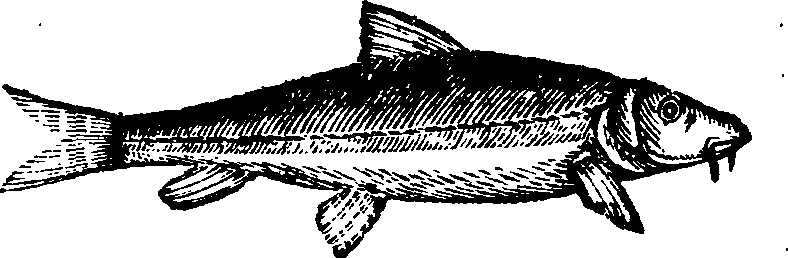 021/021910070301840_0.png