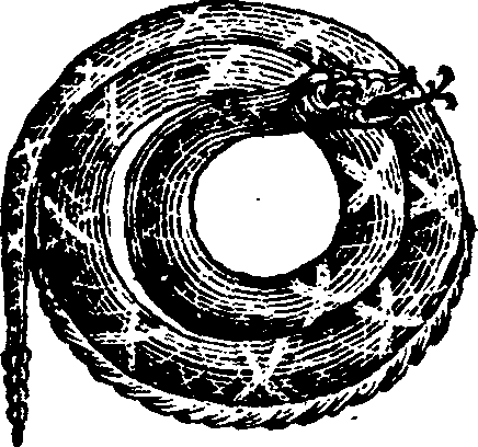 021/021910070302010_0.png