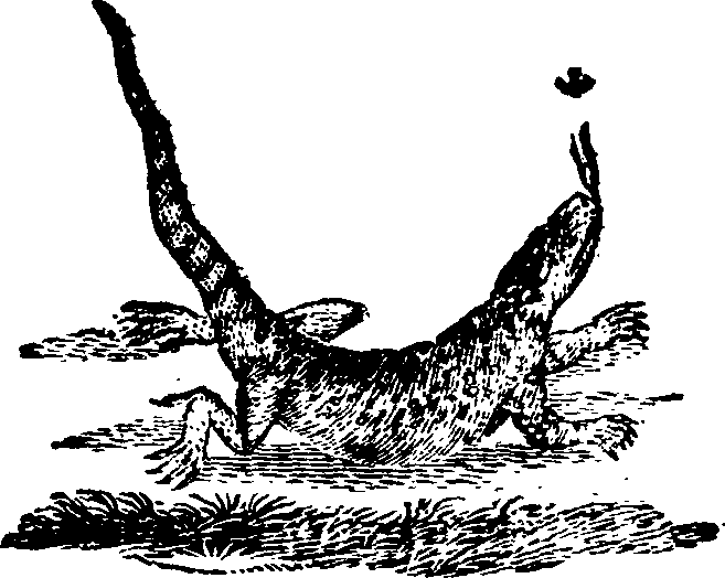 021/021910070302130_0.png