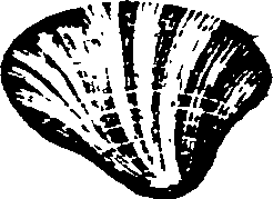 021/021910070302420_0.png