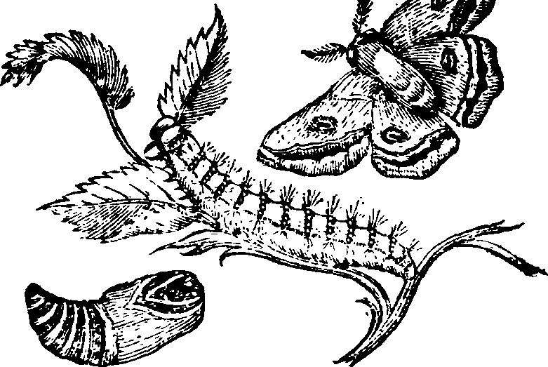 021/021910070400430_0.png