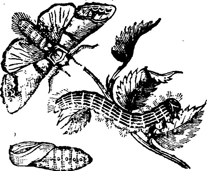 021/021910070400460_0.png