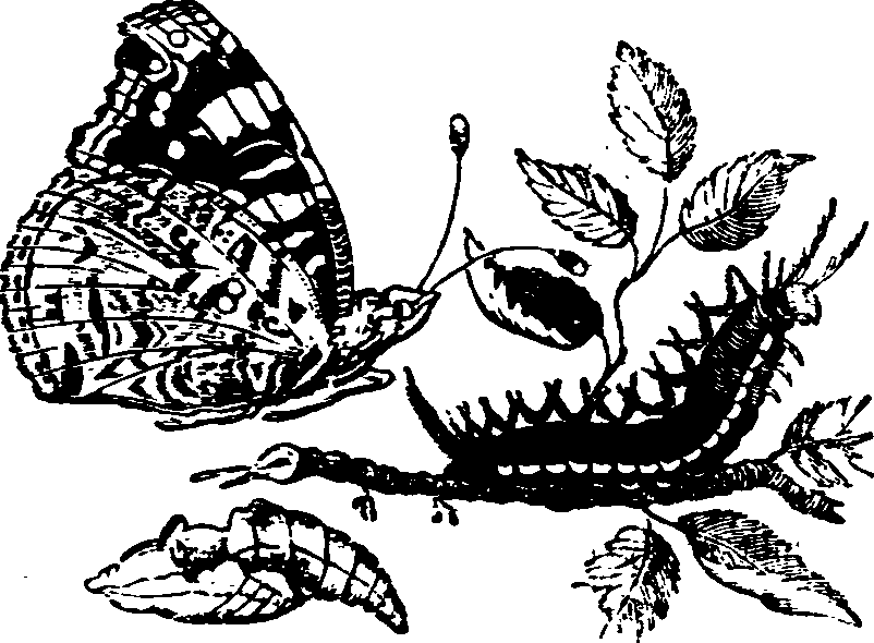 021/021910070400480_0.png