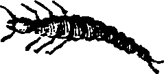 021/021910070400490_0.png