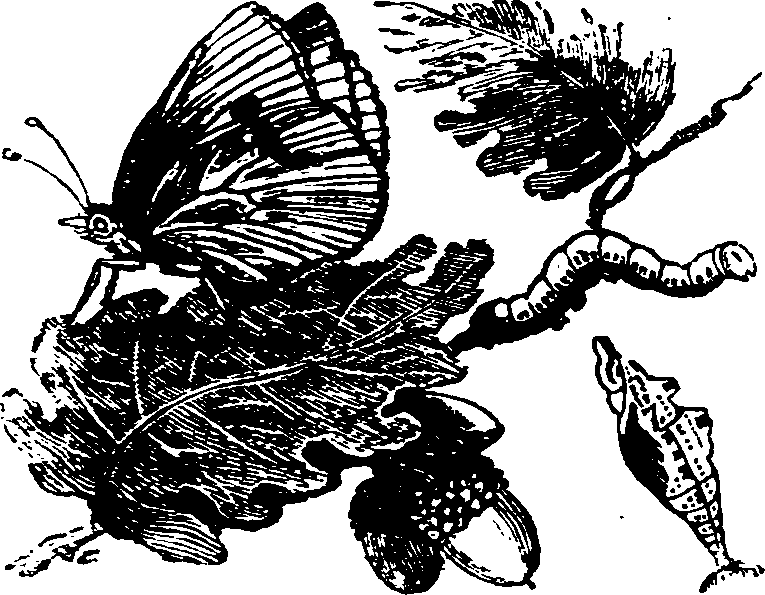 021/021910070400500_0.png