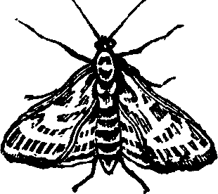 021/021910070400510_0.png