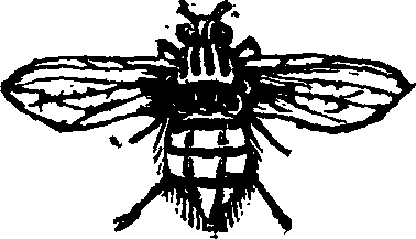 021/021910070400530_0.png