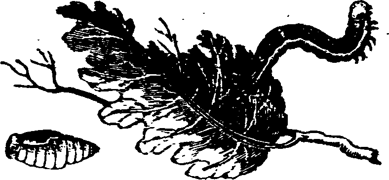 021/021910070400540_0.png