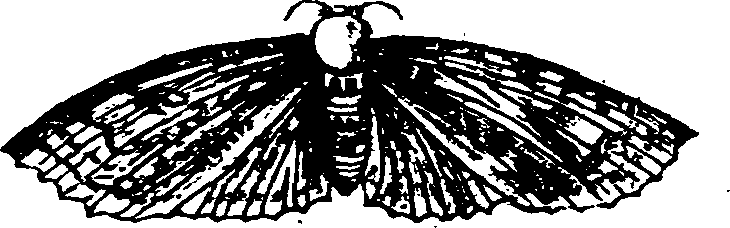 021/021910070400540_1.png