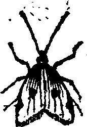 021/021910070400550_0.png