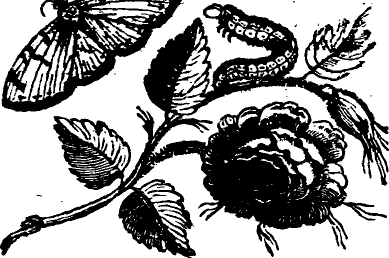 021/021910070400560_0.png