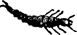 021/021910070400570_0.png