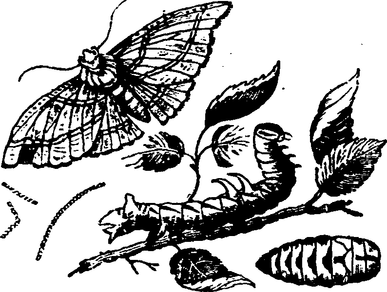 021/021910070400580_0.png