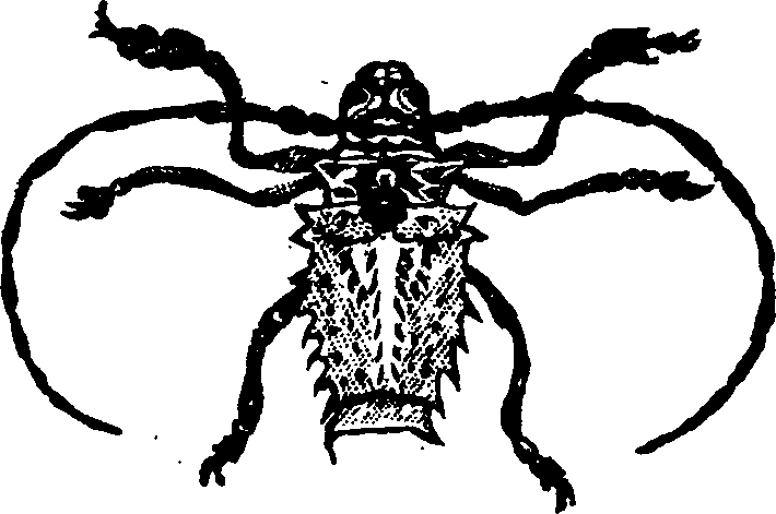 021/021910070400750_0.png