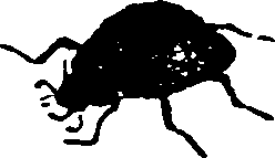 021/021910070400780_0.png