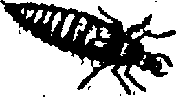 021/021910070400870_1.png