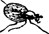 021/021910070400910_0.png