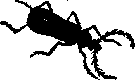 021/021910070400920_0.png