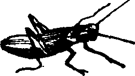 021/021910070400930_0.png