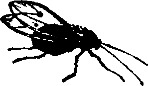 021/021910070400960_0.png