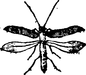 021/021910070400990_0.png