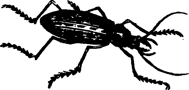021/021910070401000_0.png