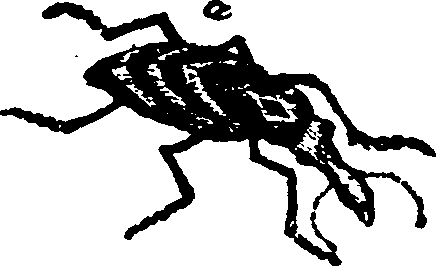 021/021910070401050_0.png