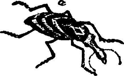 021/021910070401090_0.png