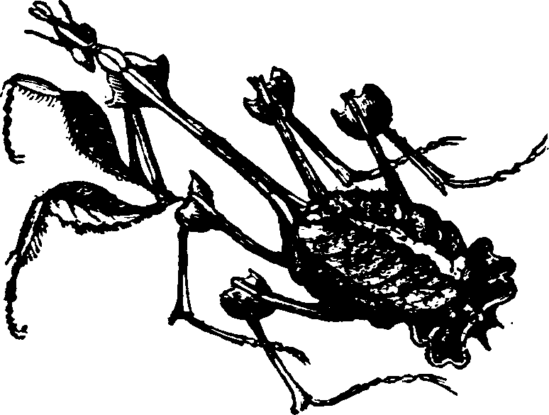 021/021910070401140_0.png