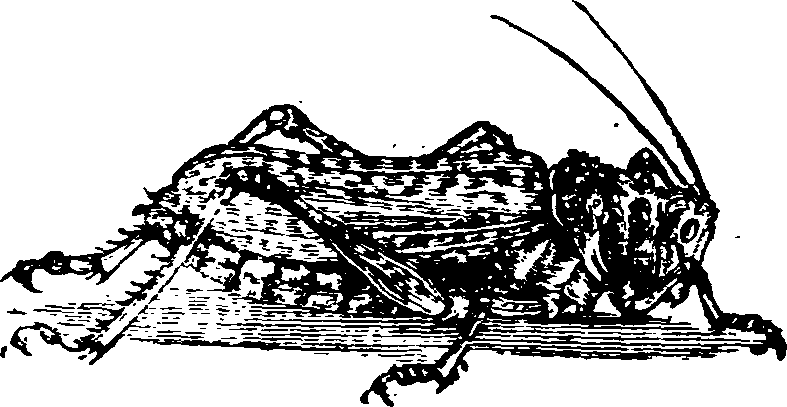 021/021910070401220_0.png