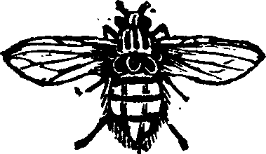 021/021910070401390_0.png