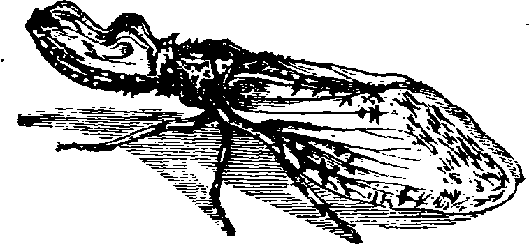 021/021910070401400_0.png