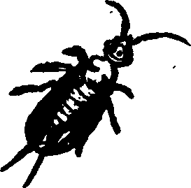 021/021910070401450_0.png