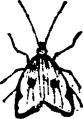 021/021910070401500_0.png
