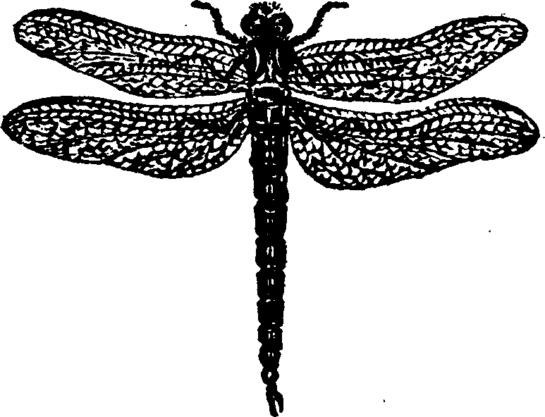 021/021910070401510_0.png