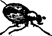 021/021910070401560_0.png