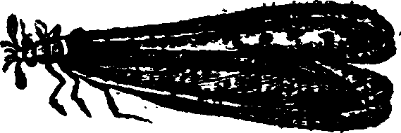 021/021910070401570_0.png