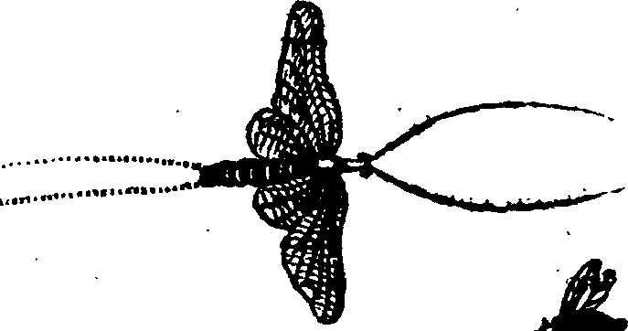 021/021910070401570_1.png