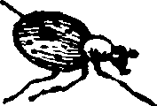 021/021910070401620_0.png