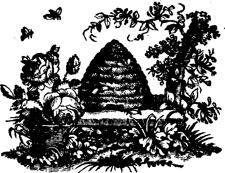 021/021910070401750_0.png