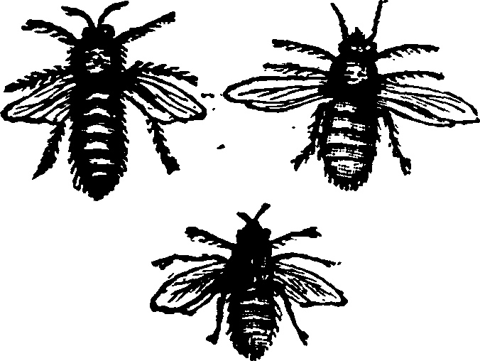 021/021910070401800_0.png