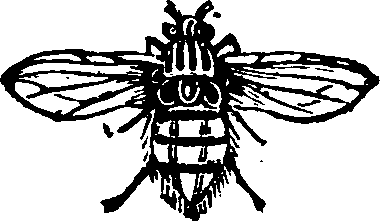 021/021910070402030_0.png