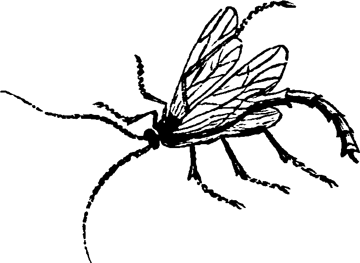021/021910070402040_0.png
