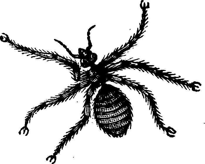 021/021910070402090_0.png