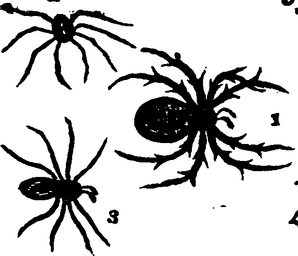 021/021910070402140_0.png