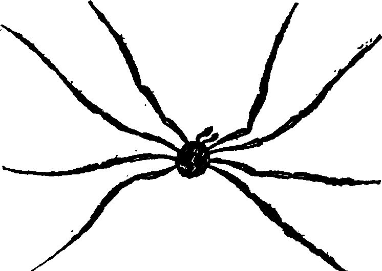 021/021910070402190_0.png