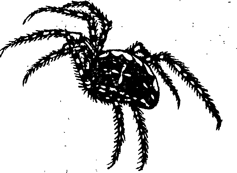 021/021910070402250_0.png